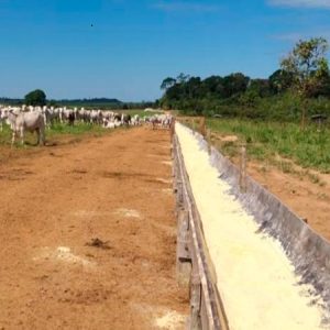 energia limpa