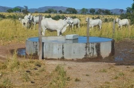 Fazenda-Arraias-TO-Inversor-20170829110827