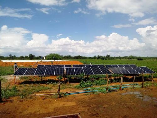 Fazenda-em-Tefe-2-AM-20190418110526