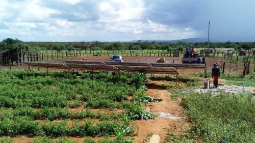 Fazenda-em-Tefe-2-AM-20190418110538