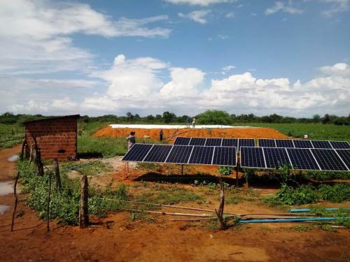 Fazenda-em-Tefe-2-AM-20190418110545