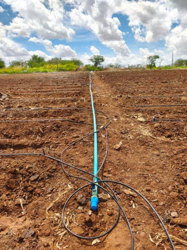 Agua solar - bomba solar de poço artesiano, inversor de placa solar, brasil solar, bomba solar, irrigação solar, bomba com placa solar, bomba de água para poço, bomba a energia solar, bomba de agua para irrigação, energia solar irrigação, kit de energia solar, sistema fotovoltaico off grid, "solares energia solar"